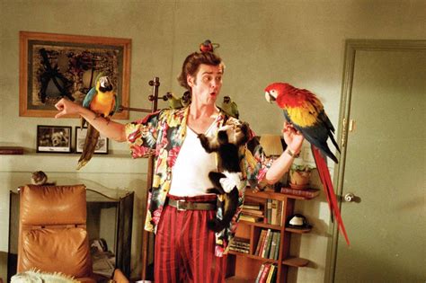 Ace Ventura: Pet Detective – A Hilarious Slapstick Comedy Packed With Quirky Characters!