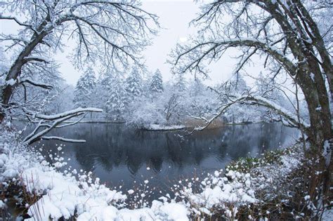 軽井沢 冬 観光 雪景色の中の異世界体験