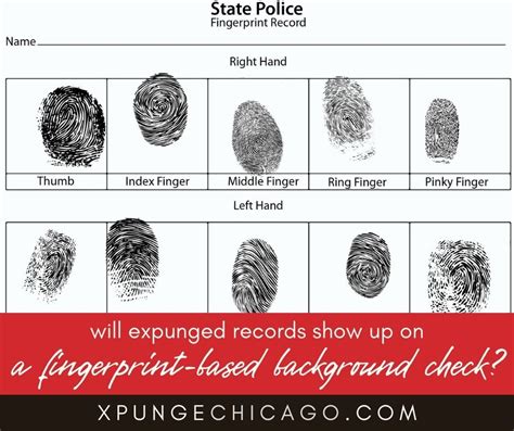 What Does Fingerprinting Show?